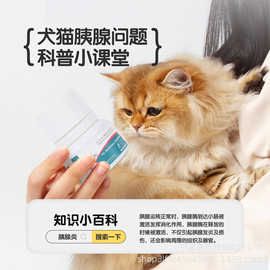胰宝宠物狗狗猫咪胰酶风味片狗猫调理胰腺保护修复犬猫通用宠胰舒