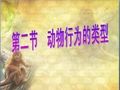《动物行为的类型》ppt课件
