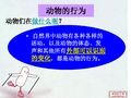 动物行为的主要类型