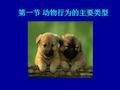 动物行为的主要类型.ppt