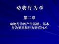 IBO 4 动物行为学的类型及其研究方法
