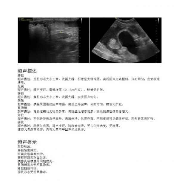 宠物医院检查容易误诊的细节？猫狗的冷知识17