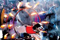 搜救犬受训