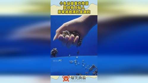 小鱼幼崽喜欢抱团，显得有点粘人，原来波妞演的是真的！