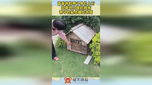 富豪养的鸭子身价上万，在草坪上建的独栋，鸭子的起点都比我高！