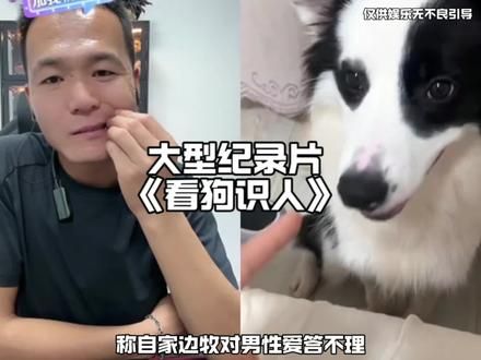 边牧眼神都闪躲了，真的这么准吗#潘虹 #潘宏爱玩狗 #边牧 #抽象 #逆天