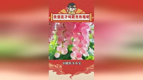 我想这才叫阳光玫瑰吧 
