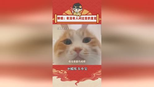 再怎么抽象，也玩不过你们这些天赋型选手，毕竟都能去珠峰安装空调了