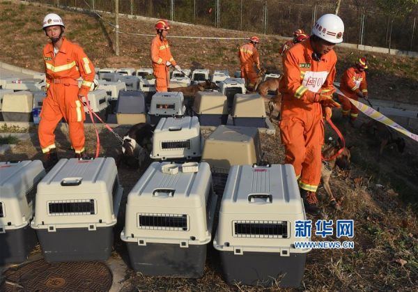 （社会）（2）灵犬泉城赛搜救