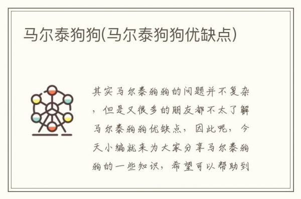 马尔泰狗狗(马尔泰狗狗优缺点)