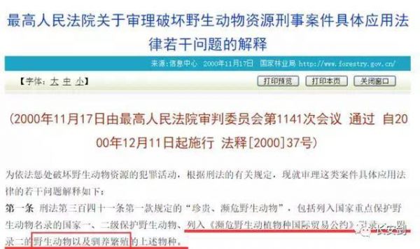 点击查看高清原图
