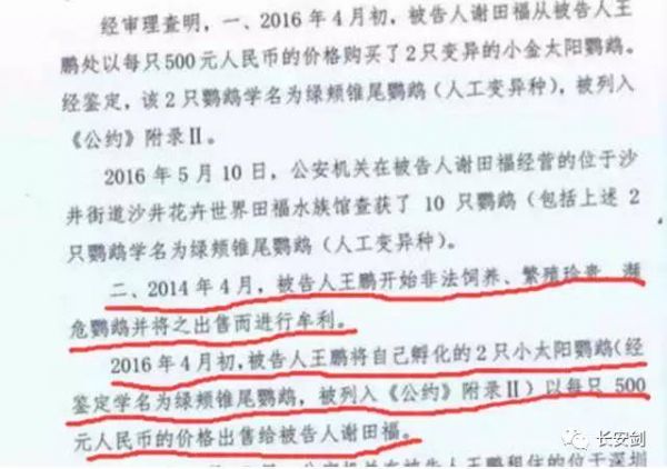 点击查看高清原图