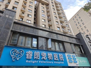 位于马群地铁站附近的睿朗宠物医院服务环境挺好