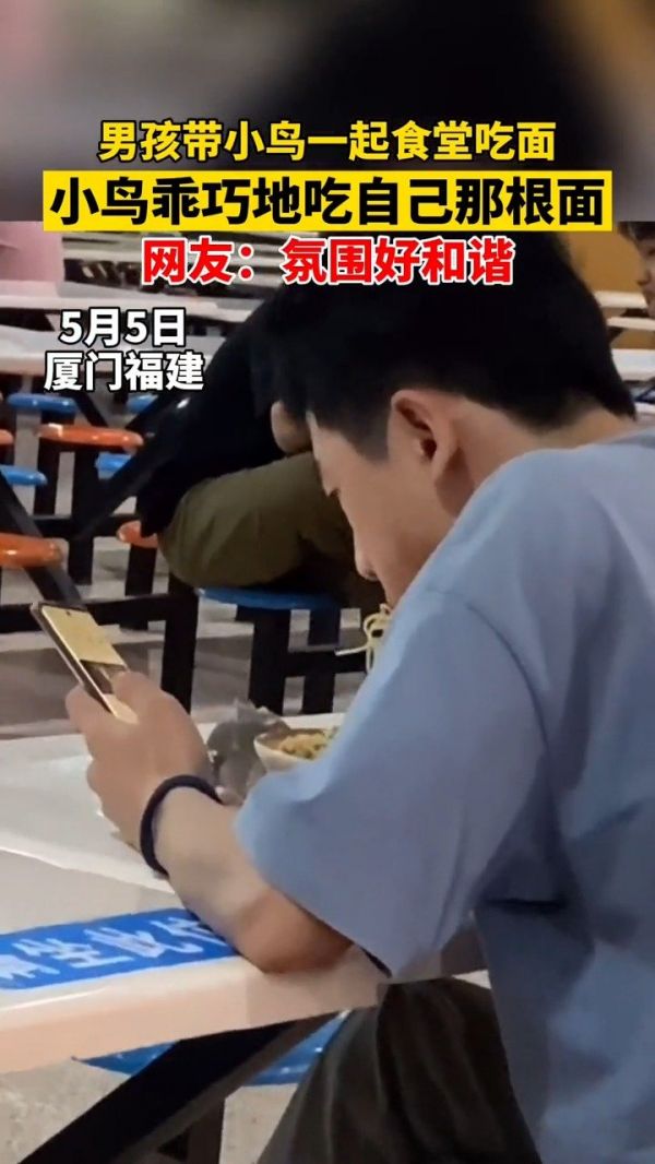 厦门大学生带宠物鸟共进晚餐,小鸟乖巧地吃自己那根面……