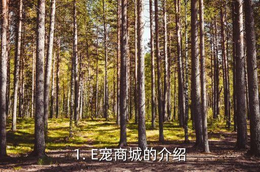 1. E宠商城的介绍