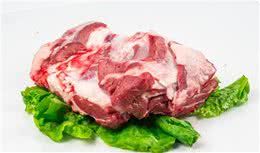 想给狗狗改善生活?这10种食物能充当营养添加剂,放心喂