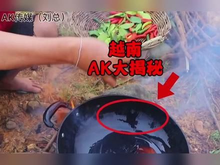 几乎大半个吃播背后都有一双无形的手在操控着,而越南更是离谱#重口味#越南美食#猎奇食物
