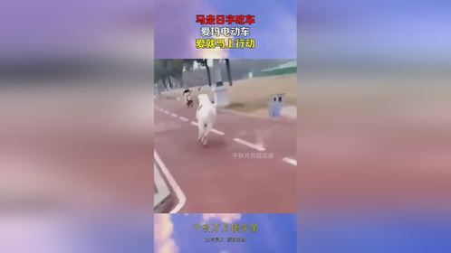 马走日字吃车，爱玛电动车，爱就马上行动！