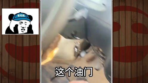 爆笑解说：起猛了！猫咪还会开车