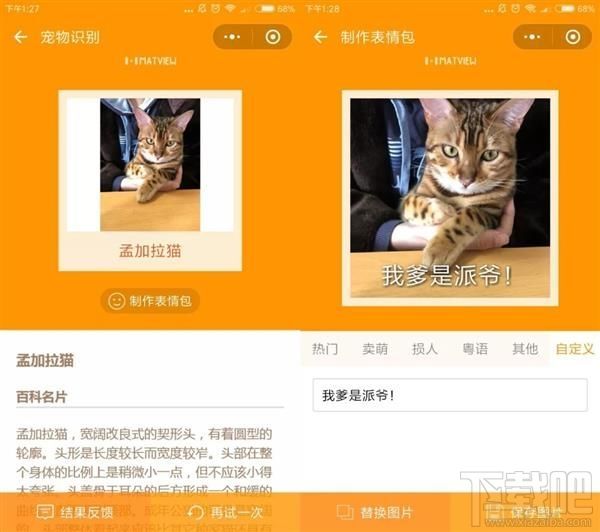 吸猫微信小程序推荐，人猫交流器让你家宠物更软萌可爱