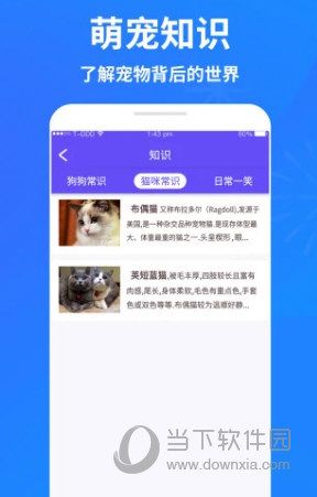 萌宠猫狗交流器
