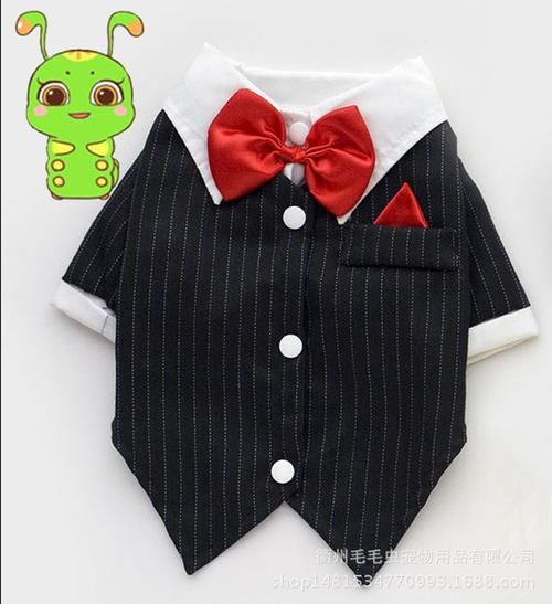 宠物婚礼服装设计方案大全_宠物婚礼服装设计方案大全图片