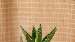 脸过敏了用芦荟胶行吗