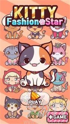 猫咪时尚明星