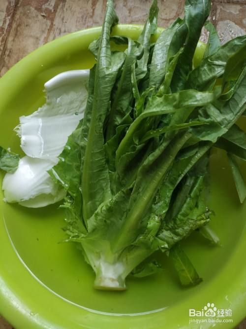 怎样给玄凤鹦鹉投喂蔬菜？