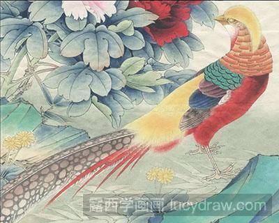 工笔画教程怎么画红腹锦鸡