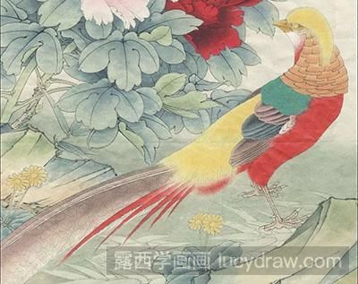 工笔画教程怎么画红腹锦鸡