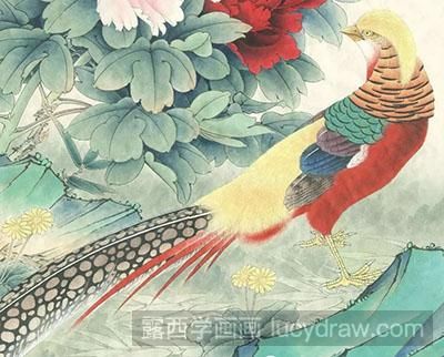 工笔画教程怎么画红腹锦鸡
