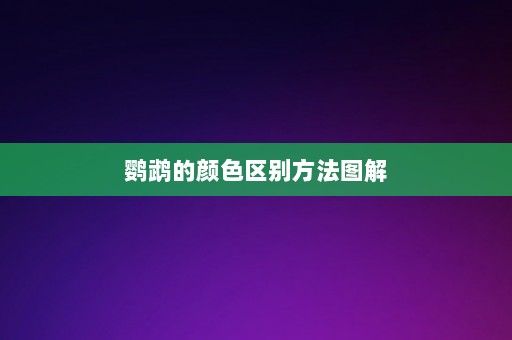 鹦鹉的颜色区别方法图解-第1张图片-一起学知识网