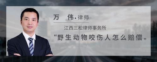 野生动物咬伤人怎么赔偿