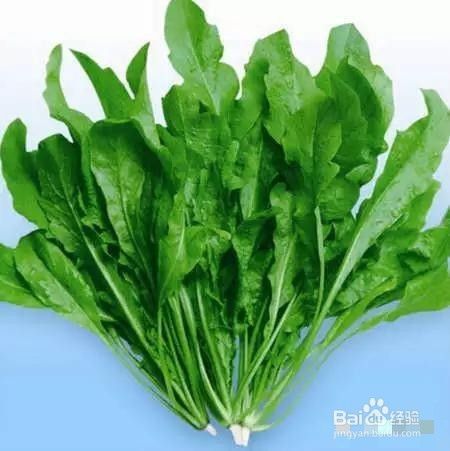 春季养生菜长寿的秘诀