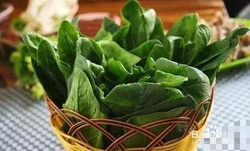 春季养生菜长寿的秘诀