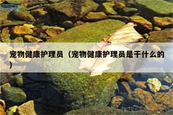 宠物健康护理员（宠物健康护理员是干啥么白勺）