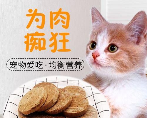 猫咪骨质增生的补钙方案（以宠物为主）