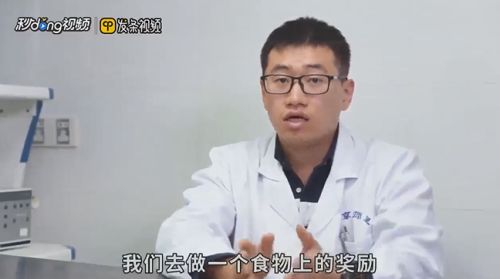 狗狗太活泼怎么办