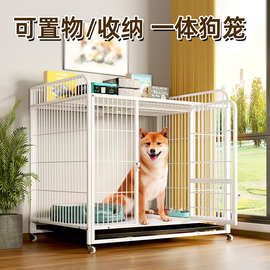 跨境厂家批发置物狗笼子中大型犬方管加粗宠物狗笼狗窝小型犬铁笼