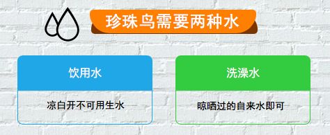 珍珠鸟寿命是多少年，珍珠鸟一般能活多少年