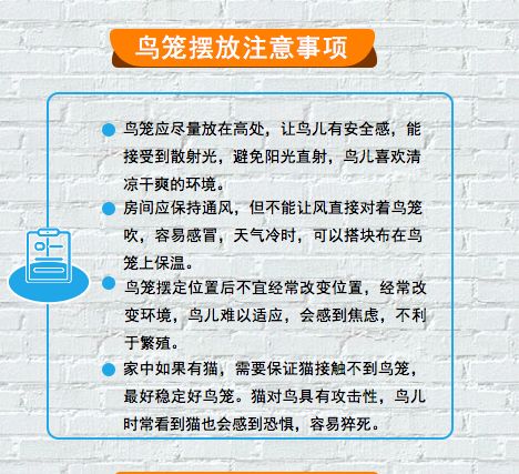 珍珠鸟寿命是多少年，珍珠鸟一般能活多少年