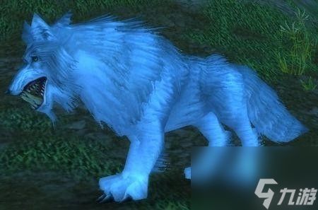 魔兽怀旧服鲁伯斯刷新点和时间 盘点猎人宠物技能和抓捕地点