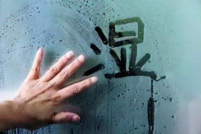 地图鱼怎么养?颜色鲜艳地图鱼怎么养?最鲜艳