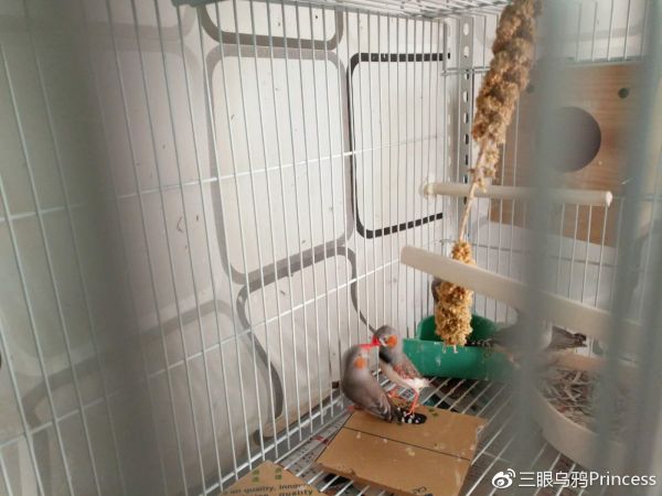 打一架