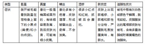 狗狗皮肤病常见症状与预防，5分钟学会！