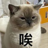 咿呀哟
