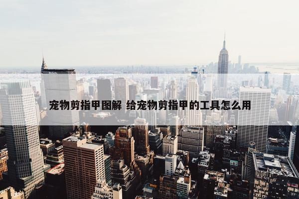 宠物剪指甲图解 给宠物剪指甲的工具怎么用