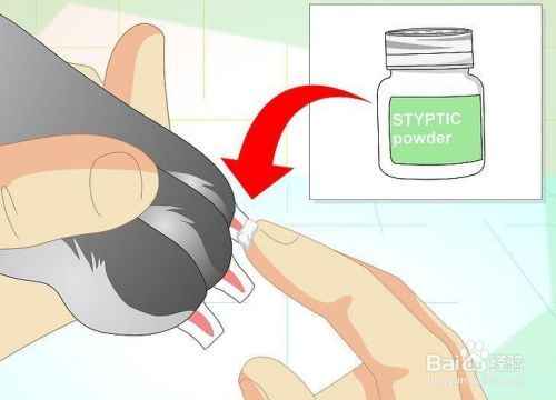 如何修剪兔子的指甲