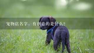 宠物店名字，有创意的是什么？